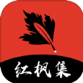 第一视角性爱视频APP应用